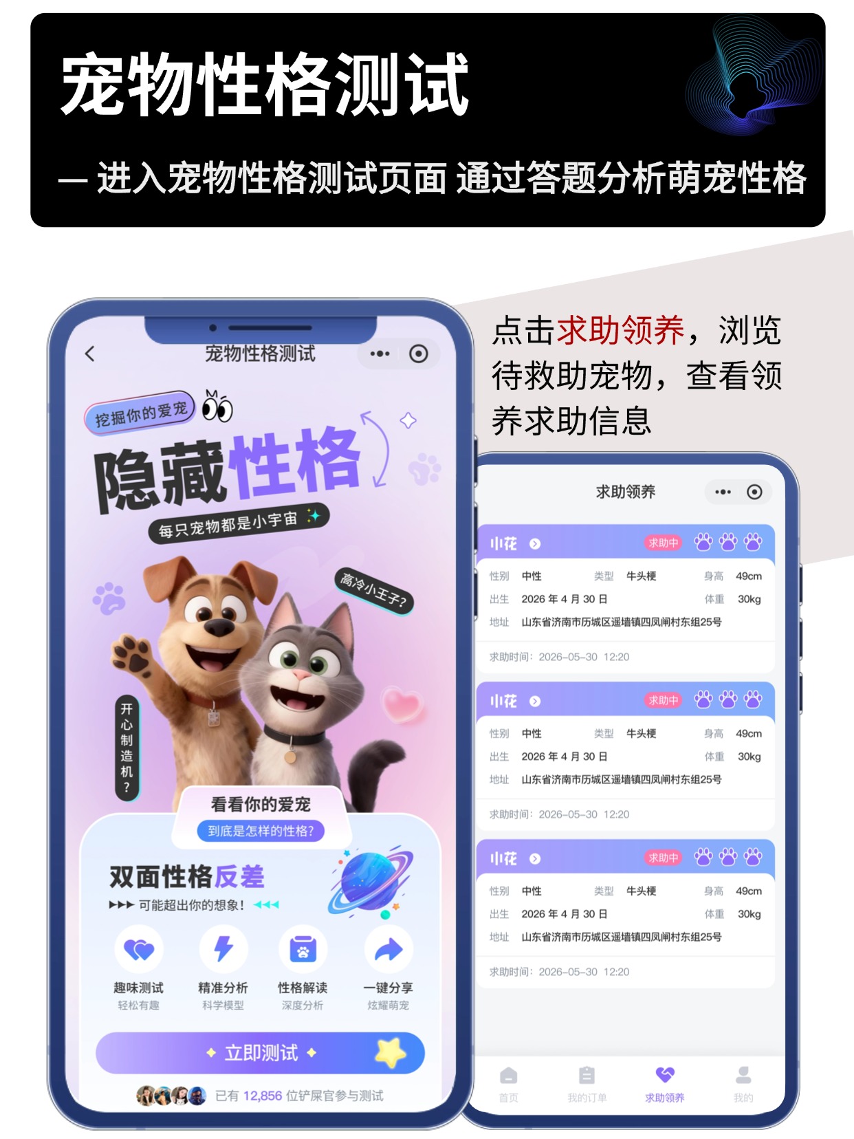 宠物数字身份小程序开发｜萌宠 MBTI 测试领养赛事竞猜私域系统