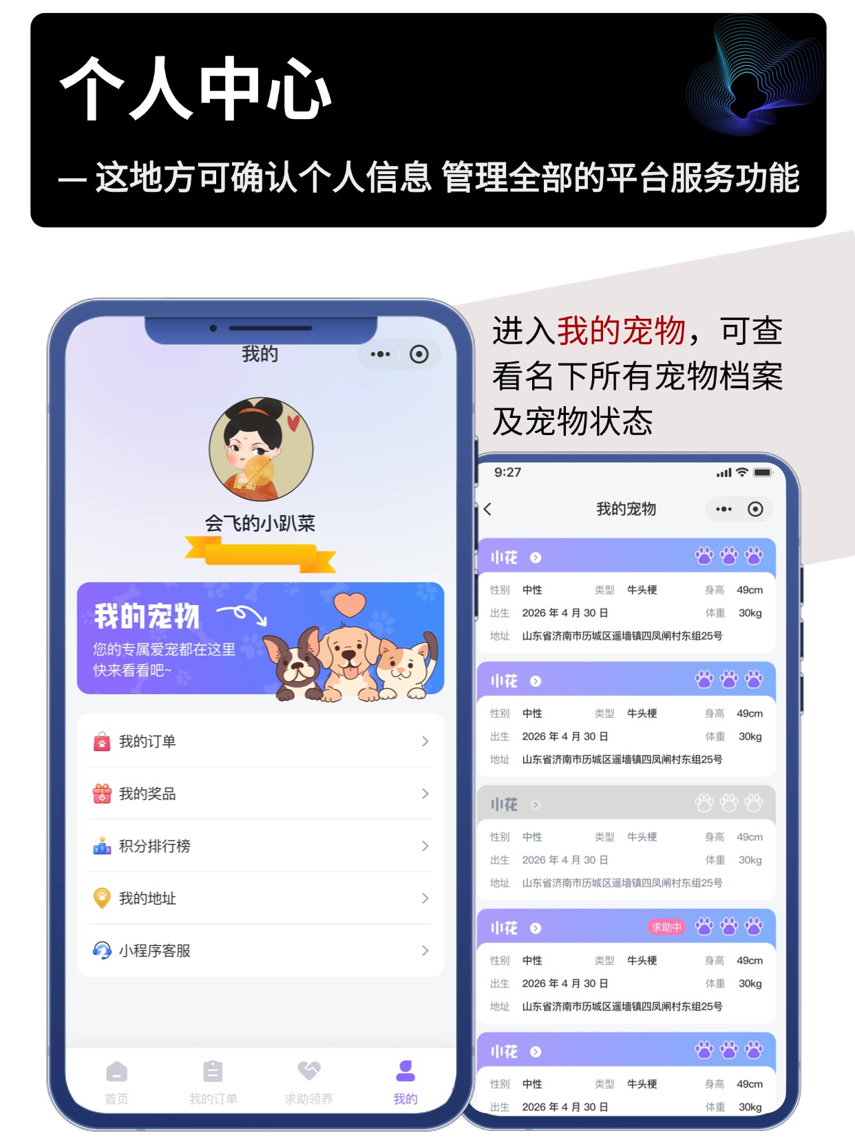 宠物数字身份小程序开发｜萌宠 MBTI 测试领养赛事竞猜私域系统