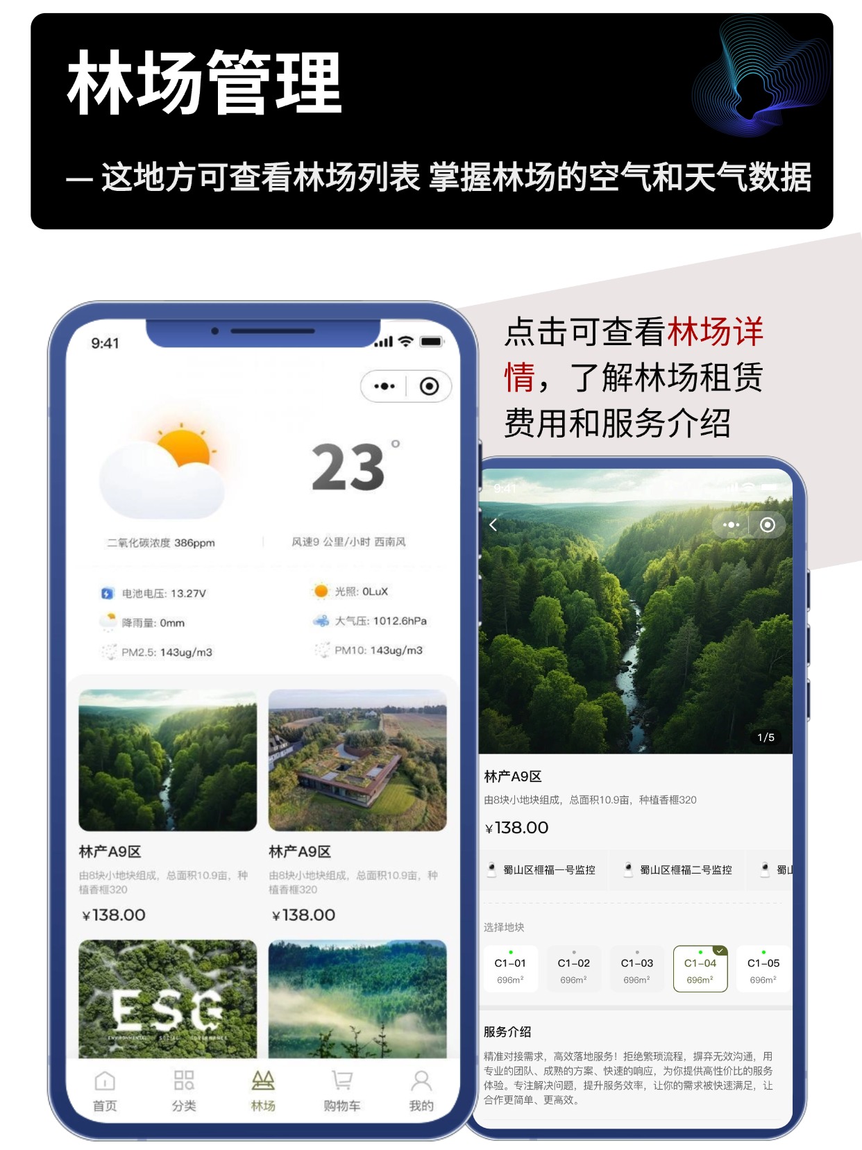 林场管理